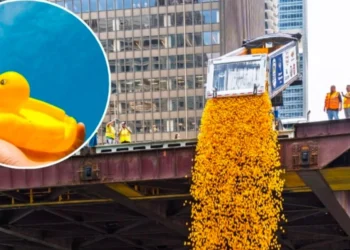 Chicago Ducky Derby ponovo na reci Čikago