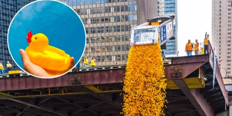 Chicago Ducky Derby ponovo na reci Čikago