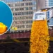 Chicago Ducky Derby ponovo na reci Čikago