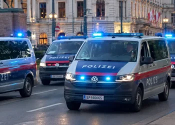 Austrija: DNK tragovi razotkrili pljačkaša najveće zalagaonice u Beču