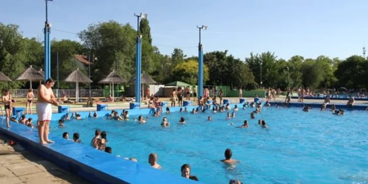 Plivanjem do boljeg sutra: Zrenjaninci uz ulaznicu od 200 dinara pomažu najugroženijima