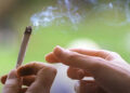 Švajcarska planira legalizaciju kanabisa: Pomoć zavisnicima ili put u propast?
