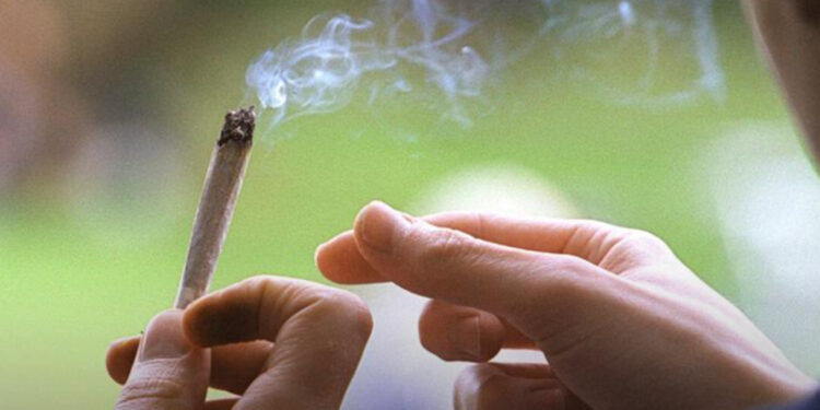 Švajcarska planira legalizaciju kanabisa: Pomoć zavisnicima ili put u propast?