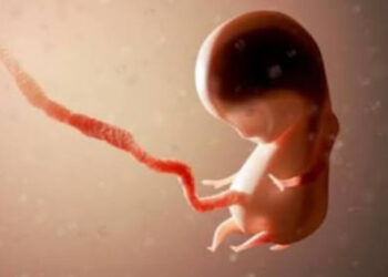 Neredi u Getingenu: Sprečena molitva protiv abortusa