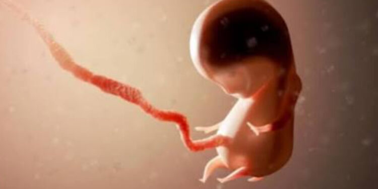 Neredi u Getingenu: Sprečena molitva protiv abortusa