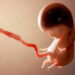 Neredi u Getingenu: Sprečena molitva protiv abortusa