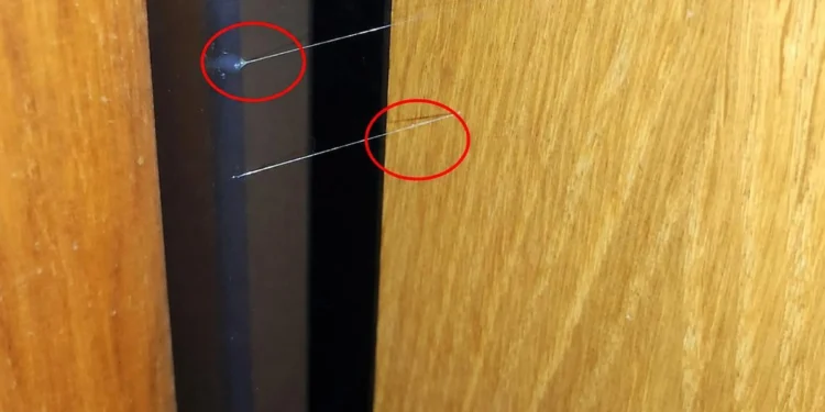 Primetili ste tanku nit na vratima? Možda vas nadziru provalnici
