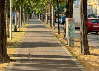 Užas u bečkom parku: Oborio ženu na zemlju i počeo da je davi