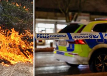 Policija u Švedskoj traga za piromanom: Serija požara kod Stokholma