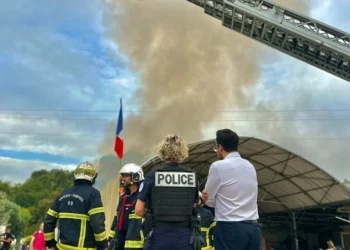 Francuska: Crni dim nadvio se nad Nicom – U gašenju učestvovalo 50 vatrogasaca