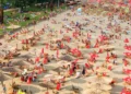 Skriveni biseri Srbije: Pet plaža koje će vas naterati da zaboravite more
