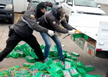 Lik fudbalera Holanda na kokainu: Policija zaplenila gotovo pola tone u Ekvadoru