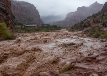 Drama u Velikom kanjonu: Poplave opkolile turiste, helikopteri spasavali više od 50 ljudi