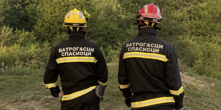 Novi Sad jača vatrogasnu službu: Stižu vozila i novi kadrovi