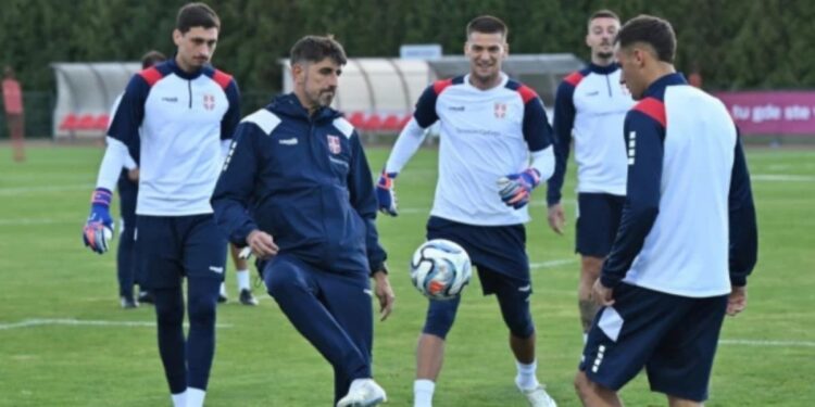 Tadić se vratio u reprezentaciju, Paunović bez Vlahovića i Mitrovića