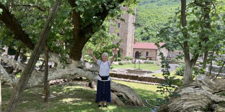 Staro stablo Šam-duda u porti Pećke patrijaršije
