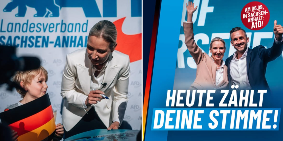 Politički zemljotres u Nemačkoj: AfD ubedljivo pobedio na izborima i ponizio Mercovu CDU