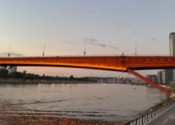 Srbija povećala izvoz: Spoljnotrgovinska razmena premašila 52,5 milijardi evra