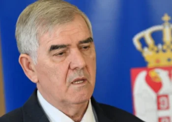 Izbori za savete manjina 8. novembra: Glasaju pripadnici 23 zajednice