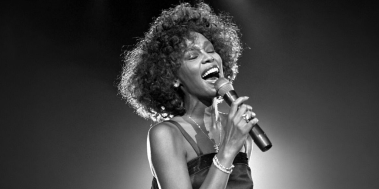 Vitni Hjuston: Iza savršene slike krila se bolna istina