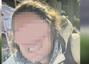 „Klimatski ekstremista“ krenuo na nemačku elektro-mrežu: Uhapšen sa eksplozivom kod elektrane