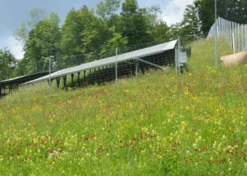 Solarni paneli na livadi u austrijskom Grimenštajnu