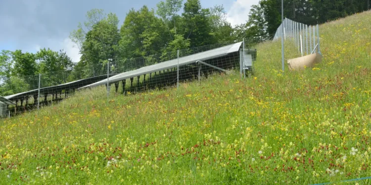 Solarni paneli na livadi u austrijskom Grimenštajnu