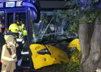 Nesreća u Berlinu: Gradski autobus sleteo sa puta i udario u drvo – 15 povređenih