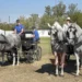 Surduk okupio fijakere iz cele Srbije: Tradicija koja traje više od tri decenije