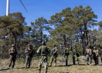 Vojnici tokom vojne vežbe na Gotlandu – FOTO: DVIDS