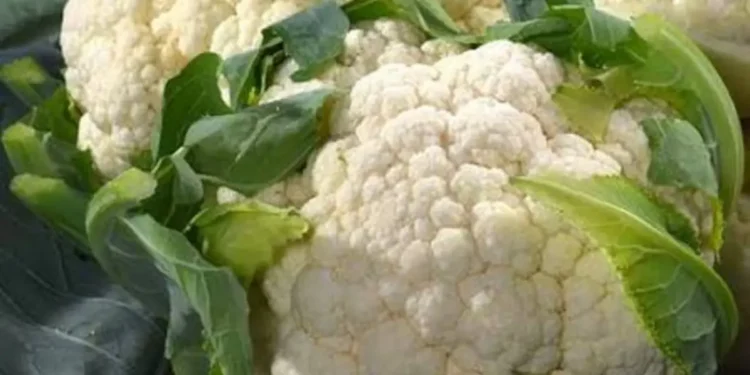 Alarm u Austriji: Karfiol sa pesticidima hitno povučen iz prodaje