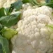 Alarm u Austriji: Karfiol sa pesticidima hitno povučen iz prodaje