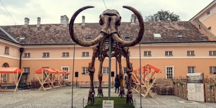 Jubilarni „Mamutfest“ u Kikindi: Kako je mamutica Kika postala simbol grada