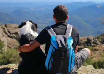 Strah od života: Pas, trauma i poredak ljubavi