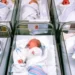 Korak bliže potomstvu: Narodni front uvodi genetičku analizu embriona o trošku zdravstvenog osiguranja