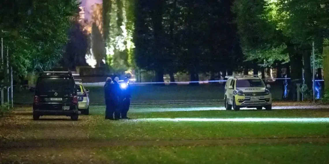 Policija i forenzičari u Pildamsparkenu u Malmeu tokom istrage