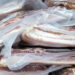 Lekarki iz Ukrajine austrijska služba za zapošljavanje ponudila posao pakovanja slanine