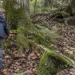 Austrija: Dečak tražio pečurke, pa iskopao sanduk pun granata