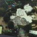 Snimak dronom razorenog vrtića u Volfsburgu