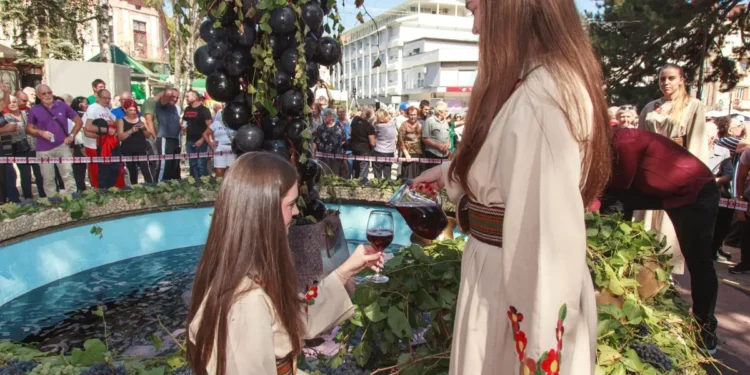 Vino pokreće privredu Aleksandrovca: Podrška gazdinstvima premašila 600 miliona dinara