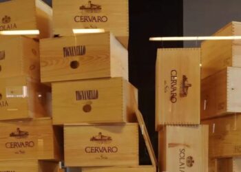 Filmska pljačka u Toskani: Lopovi odneli vino vredno pet miliona evra