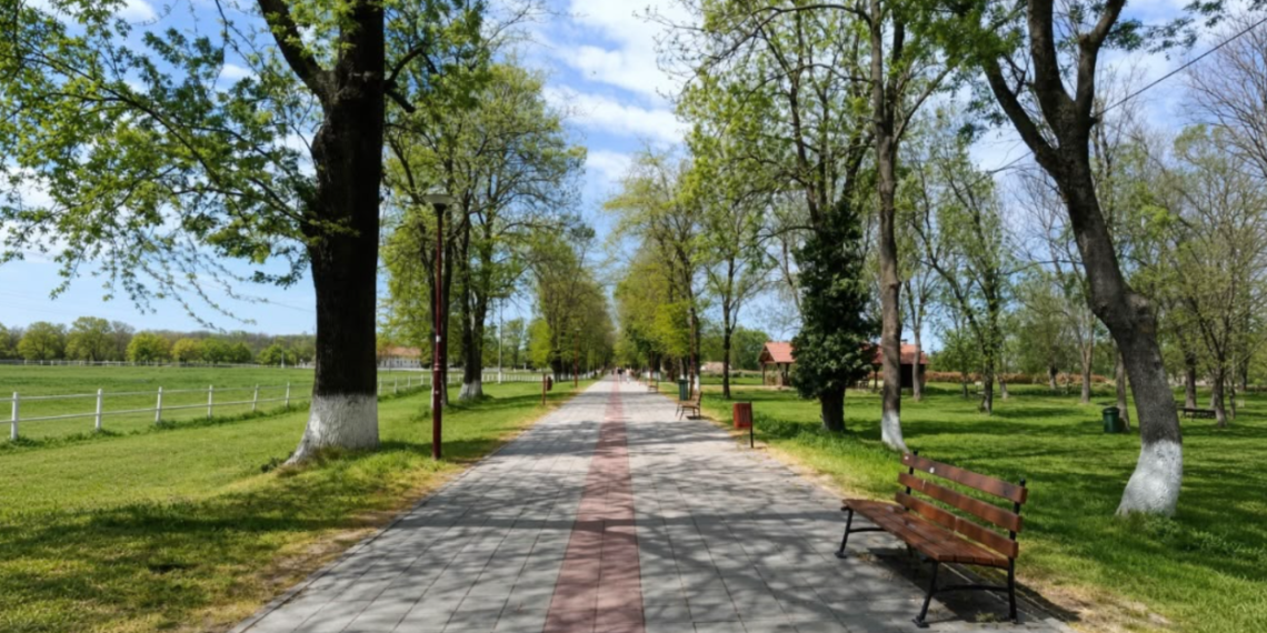 Ergela Ljubičevo: Od najstarije državne ergele do turističke atrakcije