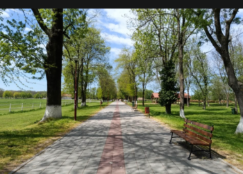 Ergela Ljubičevo: Od najstarije državne ergele do turističke atrakcije