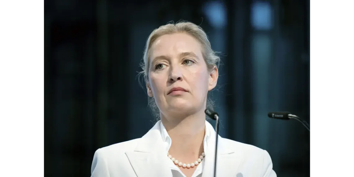 Alis Vajdel, čelnica Alternative za Nemačku