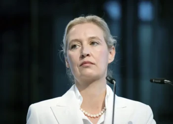 Alis Vajdel, čelnica Alternative za Nemačku