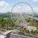 „Belgrade Eye“ korak bliže gradnji: Panoramski točak od 80 metara sa 40 kabina