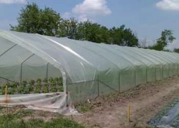 Podrška kroz subvencije za preko 1.300 gazdinstava u Leskovcu: Od opreme do novih zasada