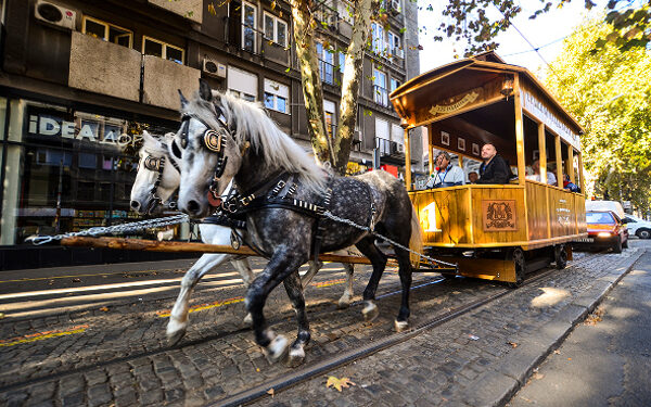 Konji vuku repliku beogradskog tramvaja tokom obeležavanja jubileja GSP 2017.