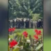 Policija privodi osumnjičene navijače u Splitu