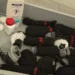 Posude i boce korišćene za krijumčarenje reptila na aerodromu Keln–Bon